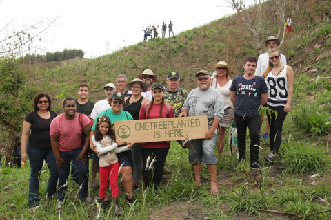 our partners one tree planted